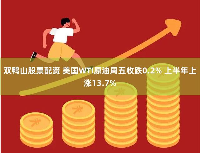 双鸭山股票配资 美国WTI原油周五收跌0.2% 上半年上涨13.7%