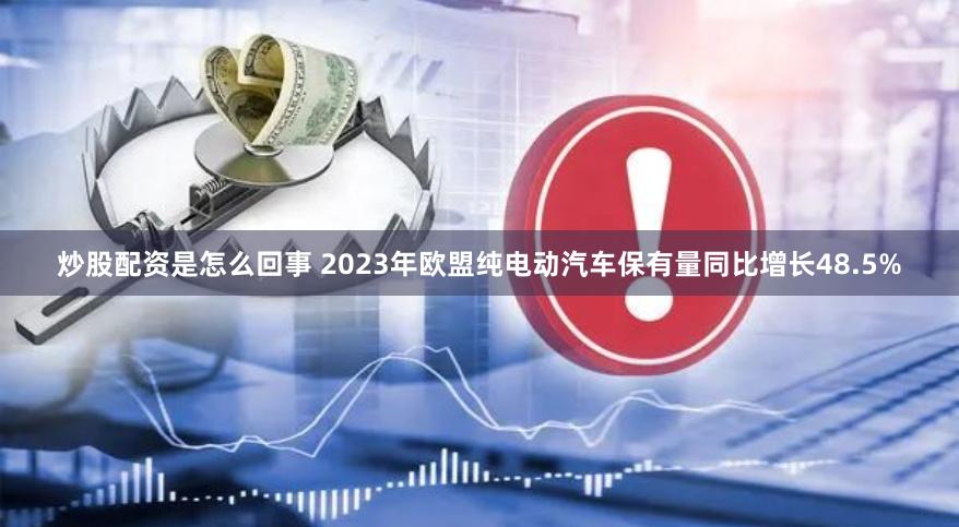 炒股配资是怎么回事 2023年欧盟纯电动汽车保有量同比增长48.5%